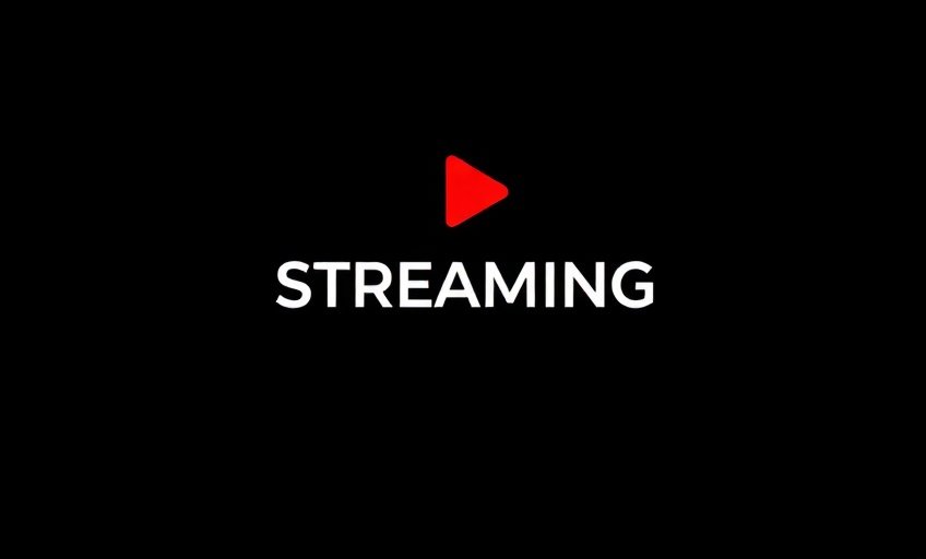 Netflix - 朵朵影视合作伙伴